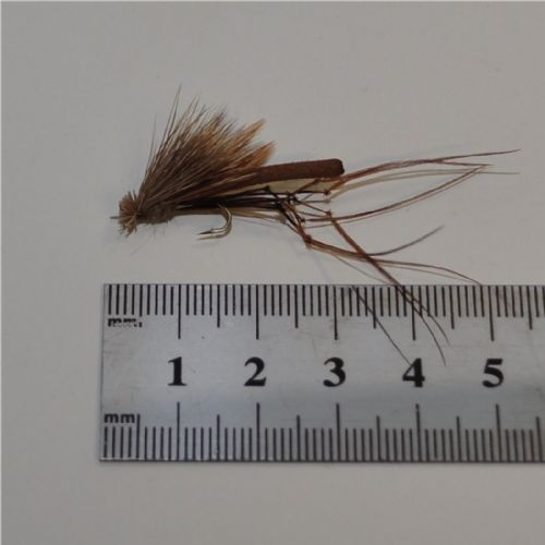 WS02029 - Tørflue - Harkrank - Farve: Natur - Str. : 12